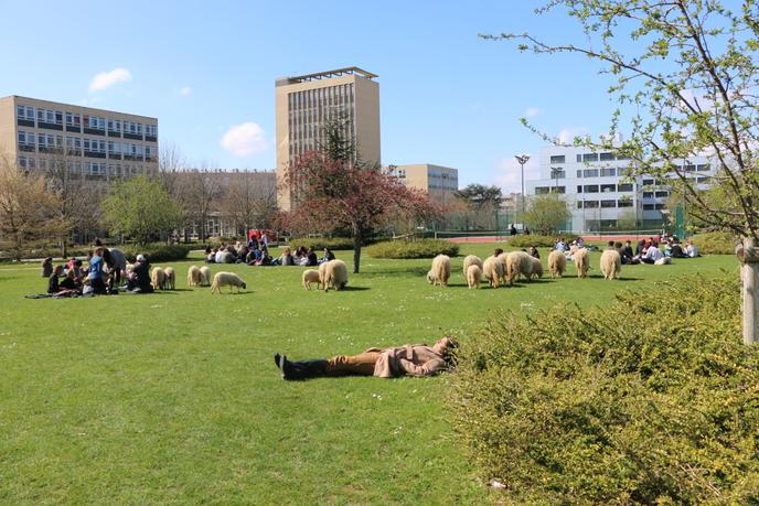 Les Campus Se Mettent Au Vert