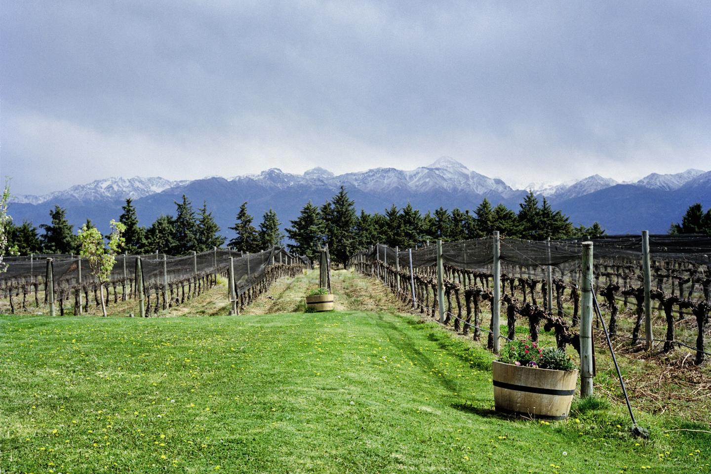 La route des bodegas d’Argentine
