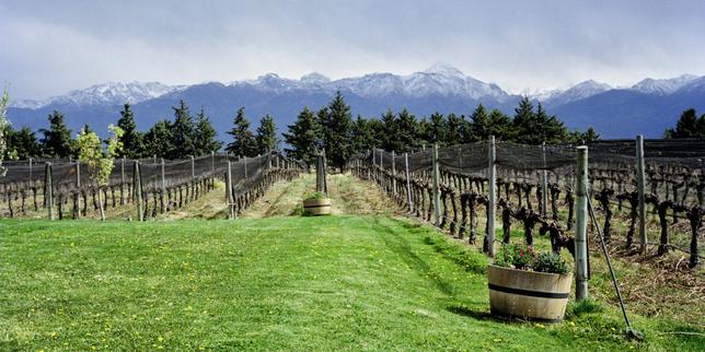 La route des bodegas d’Argentine