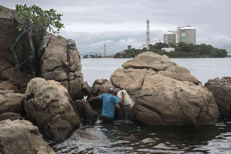 Au bord de la baie de Rio, l’eau est polluée par les égouts domestiques non traités et  les métaux lourds contenus dans le pétrole. L’activité des pêcheurs a chuté de 90 %.