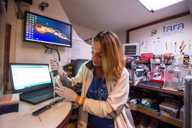 Travail sur le séquençage des génomes à bord de la goélette scientifique Tara, le 27 octobre.