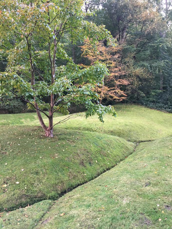 Varengeville Un Eden Pour Les Jardins
