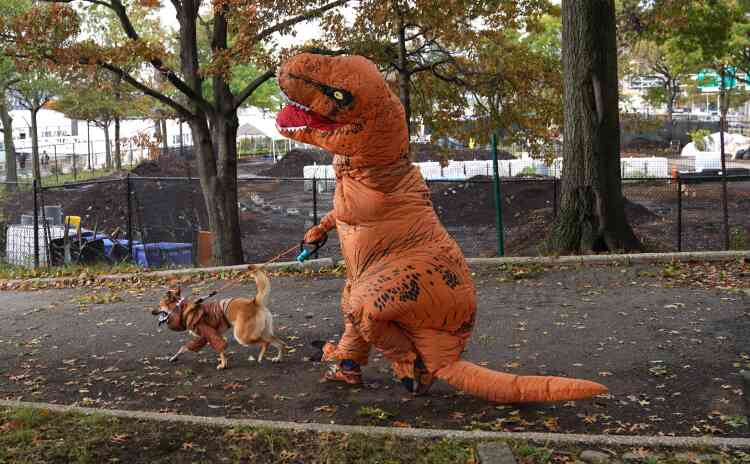 Un chien et son propriétaire en costumes, lors du 28e Tompkins Square Halloween Dog Parade, un défilé de Halloween pour les chiens à l’amphithéâtre du jardin public d’East River Park, à New York, le 27 octobre.