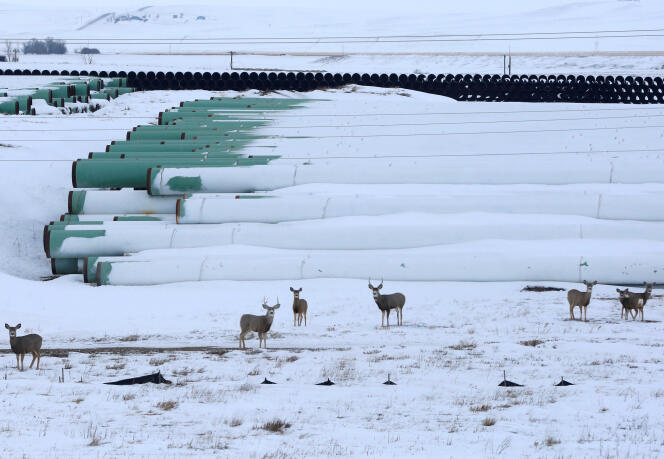 Sur le site de stockage de cylindres destinés au pipeline Keystone XL, à Gascoyne, dans le Dakota du Nord, en janvier 2017.