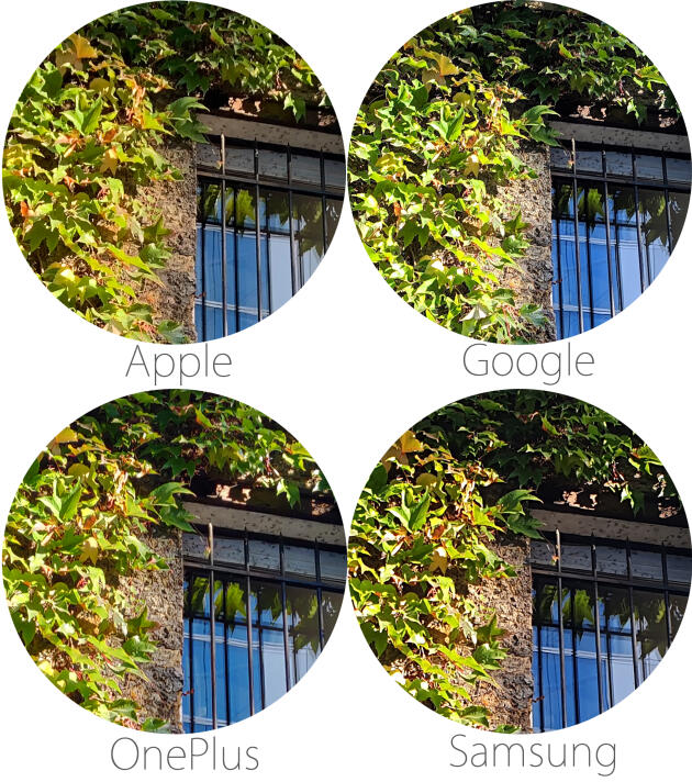 L’iPhone capture les images les plus douces : la lumière n’apparaît pas trop contrastée et les contours des feuilles ne sont pas trop marqués.
