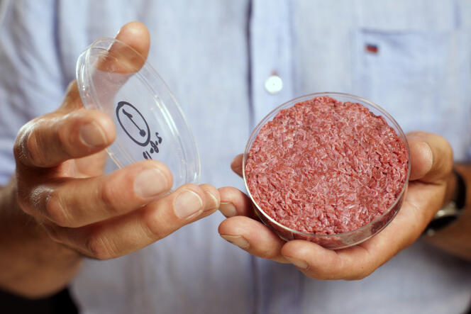 Un burger élaboré en laboratoire à partir de cellules de bœuf, à Londres, en 2013.