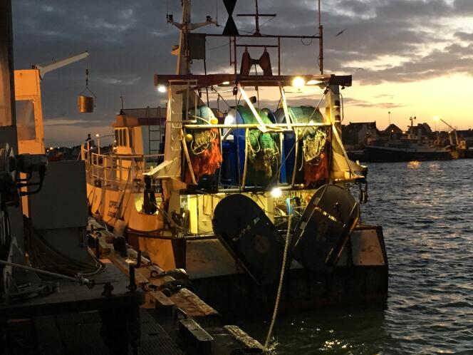 Mardi 20 novembre, à l’aube, les équipages des chalutiers de pêche au large, partis pour une « marée » de quinze jours, ont débarqué lottes, raies, églefins…