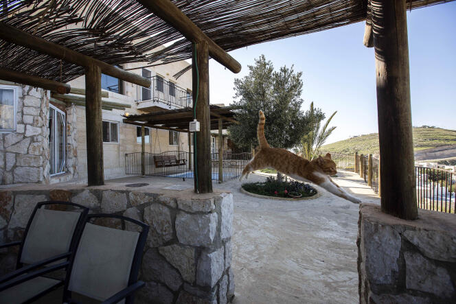 Une location proposée sur la plate-forme Airbnb dans la colonie israélienne de Nofei Prat (Cisjordanie), en 2016.