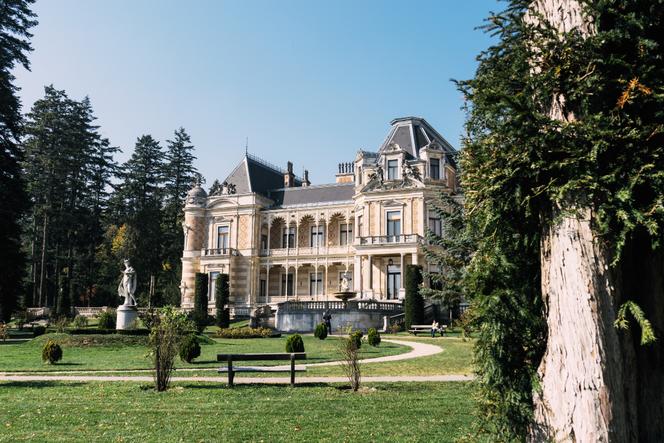 Vienne fin de siècle Bonhams : Charles Voisin à Paris. A gilt metal verge oignon