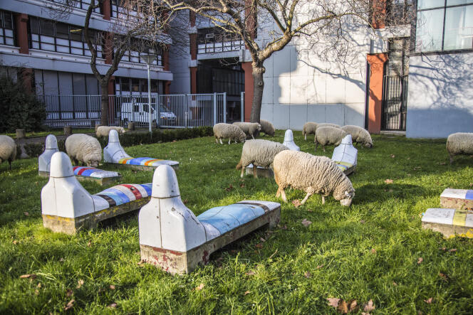 A l’université de Paris-XIII-Villetaneuse, un troupeau de moutons a remplacé les tondeuses.