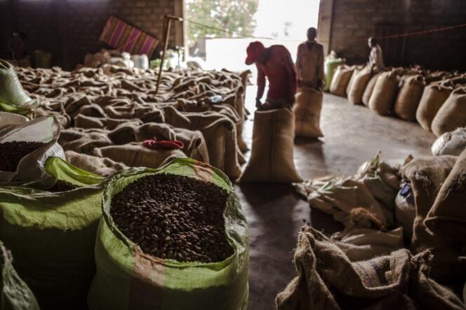 Une usine de production de fèves de cacao, à Beni, dans le nord-est de la République démocratique du Congo, en novembre 2016.