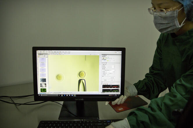 Image faite au microscope électronique montrant l’altération du génome d’un embryon au laboratoire de Shenzhen (Chine), le 9 octobre.