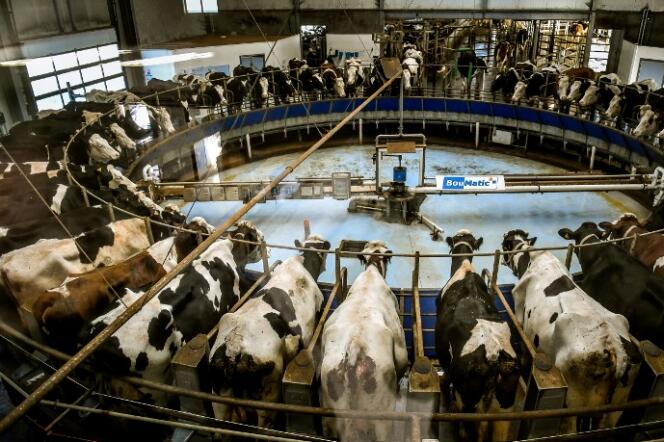 « La vraie alternative n’est pas entre protéines animales et végétales mais entre production industrielle de viandes et de céréales d’un côté et défense d’une agriculture paysanne et d’un élevage paysan d’un autre côté » (Ferme intensive à Drucat, dans la Somme, en 2017).