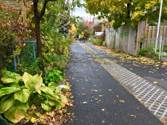Une ruelle verte « démineralisée » dans l’arrondissement Rosemont-La Petite-Patrie de Montréal, le 24 octobre.