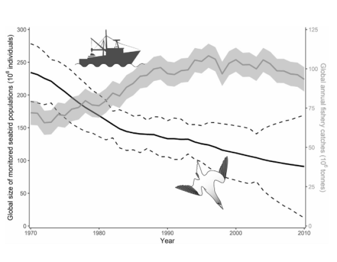 Déclin de la communauté des oiseaux de mer et progression de la pêche dans le monde entre 1970 et 2010.