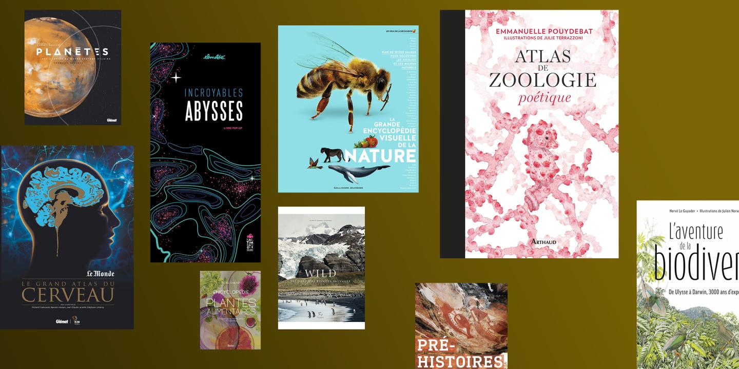 Les beaux livres de science que « Le Monde » vous recommande pour Noël