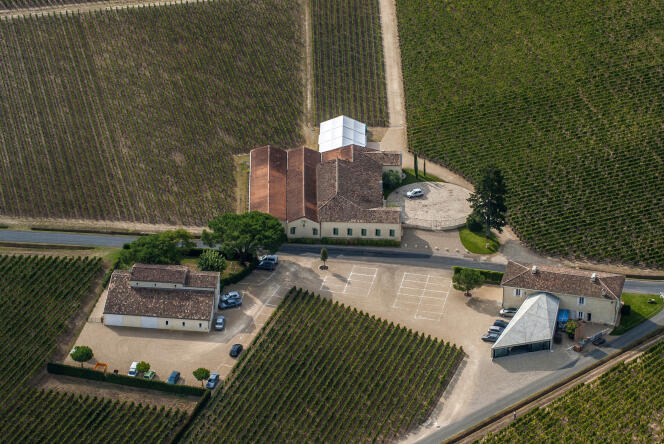 On l estime le vignoble de Petrus à près de 200 millions d’euros, ce qui ramènerait à plus de 100 millions l’hectare de vigne, du jamais vu.