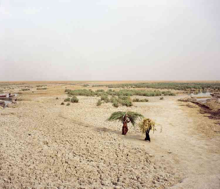 Le delta de Chatt Al-Arab – les marais au sud de l’Irak – a longtemps constitué un écosystème humide et fécond. Il a été inscrit au Patrimoine mondial de l’Unesco en 2016.