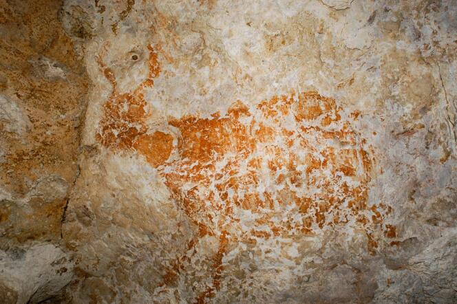 Détail d’un gros animal à corne dessiné sur la paroi d’une grotte de Bornéo il y a au moins 40 000 ans.