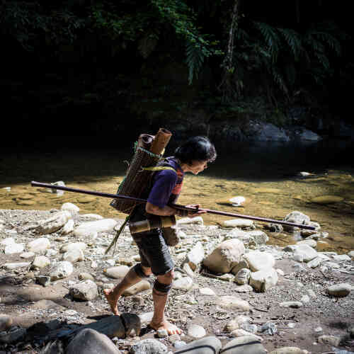 Long Tevenga, le 18 juillet 2018. Peng Mengut est l’un des derniers représentants de chasseurs-cueilleurs que compte encore l’ethnie Penan de Sarawak.