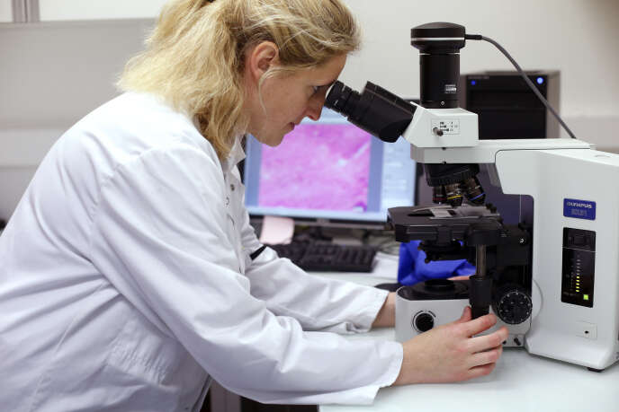 Une chercheuse au laboratoire de la biobanque de l’hôpital de la Pitié-Salpêtrière à Paris, en 2015.