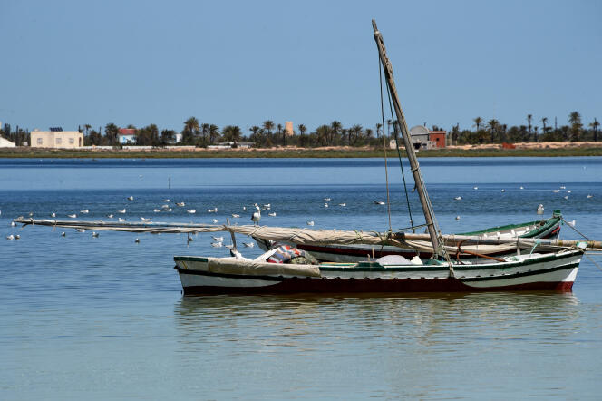 Le long de la côte de Kerkennah. L’archipel est situé au large de la ville tunisienne de Sfax.
