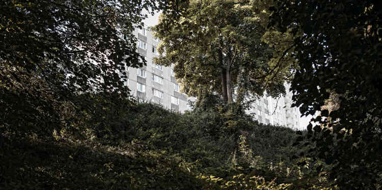 Septembre 2017. Un bâtiment de la cité Gagarine de Romainville, vu depuis la forêt qui s’est implantée naturellement sur l’ancienne carrière de gypse (lequel servait à la fabrication du plâtre de Paris). Ce site a été fermé dans les années 1960 et laissé en friche.