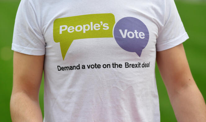 Un membre du Vote des peuples pose lors d’une campagne électorale près du Parlement, à Londres, le 14 janvier 2019.