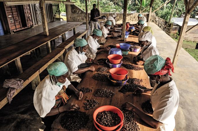 Terreiro Velho une plantation de cacao à Principe.