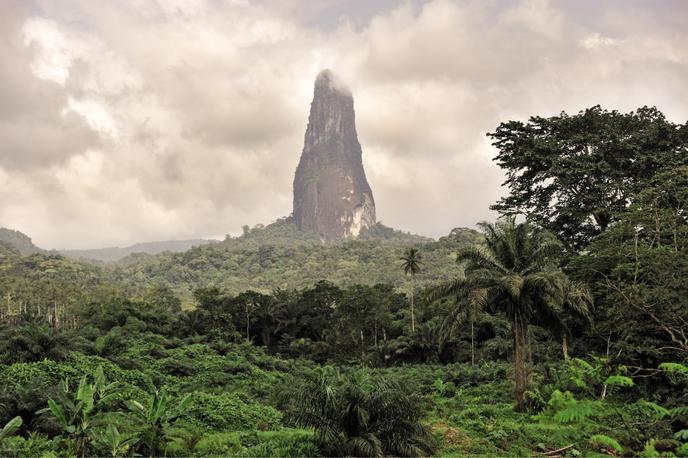 Le parc national d’Obó à São Tomé.