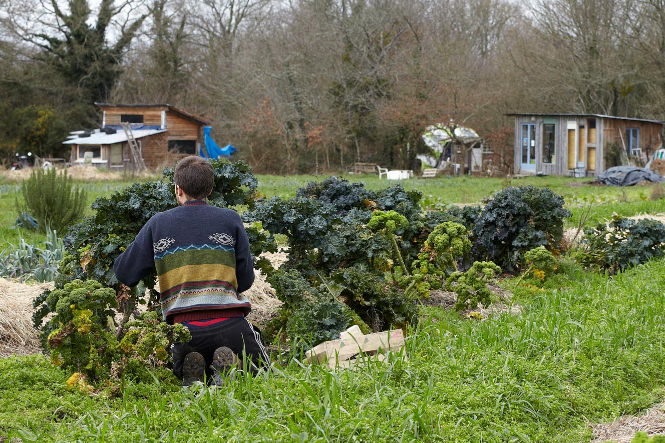 La ZAD de NotreDamedesLandes en voie d’apaisement