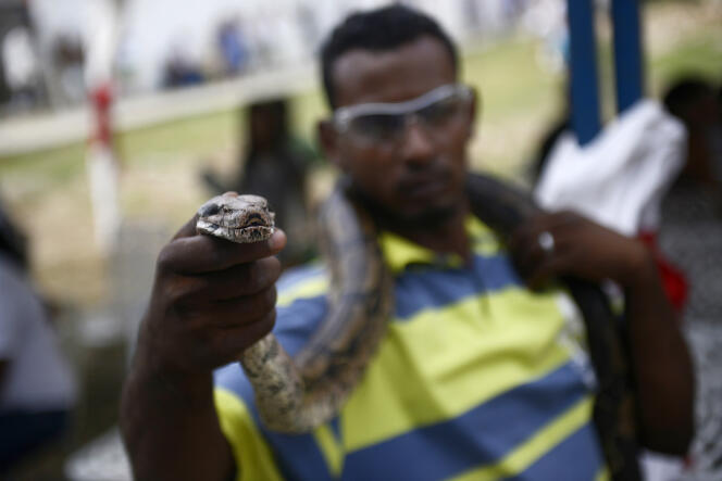 Un détenu montre un serpent domestique dans la prison de San Juan de los Morros, au Venezuela, en 2013.