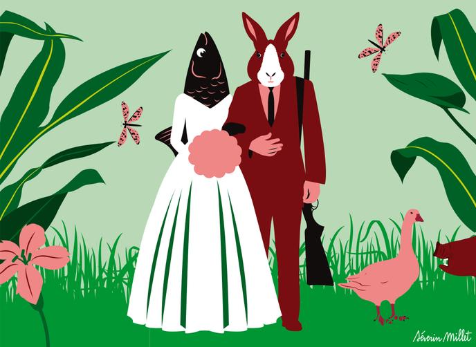 Chasse Et Biodiversite Un Mariage Delicat