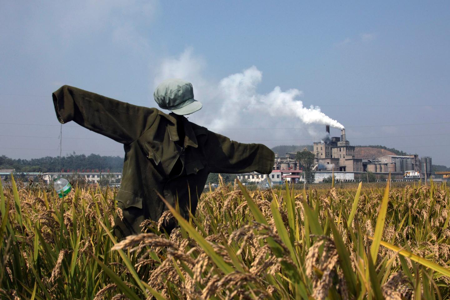 Climat : réussira-t-on à atteindre un pic des émissions en 2020 ?