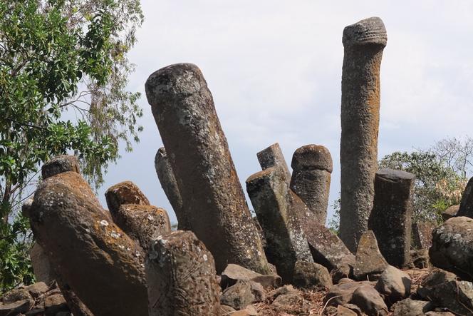 Plus d’une dizaine de milliers de stèles aux formes « phalliques » parsèment les contreforts de la vallée du Rift, au sud de l’Ethiopie. Ces phallus de pierres peuvent s’élever jusqu’à huit mètres de hauteur et peser plusieurs tonnes.