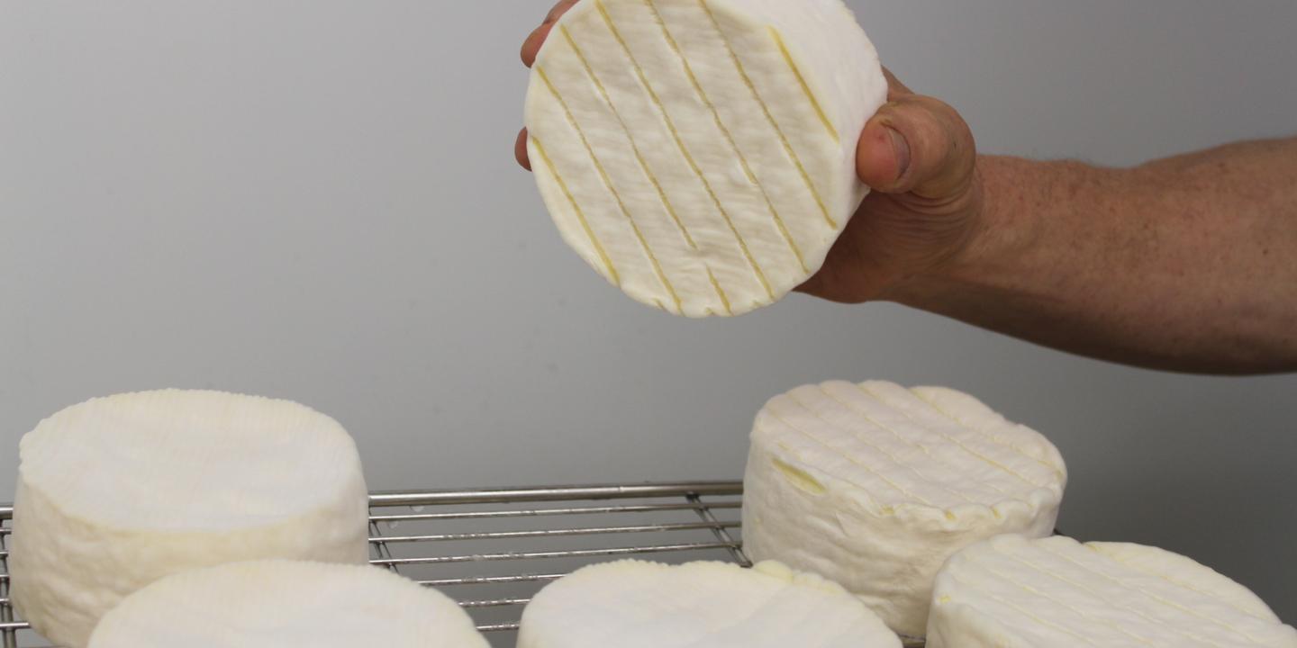 Notre Lait Est Une Matiere Vivante Deux Fabricants De Camemberts Font De La Resistance
