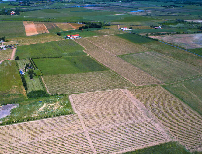 « L’agriculture industrielle est une des principales responsables de la perte de biodiversité, de l’érosion des sols (27 millions d’hectares concernés en France, soit 18 % du territoire) »  (photo : département de l'Aude).