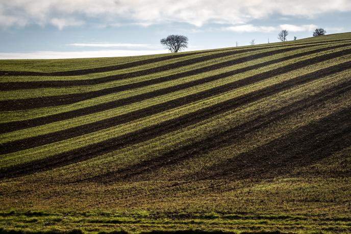 Paysage agricole près de Monestrol (Haute-Garonne), le 22 janvier 2019.