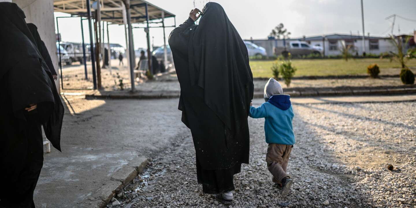 Deutschland und Dänemark repatriieren dschihadistische Frauen und Kinder