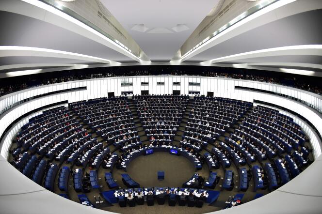 Les Français éliront 79 députés aux élections européennes du 26 mai.
