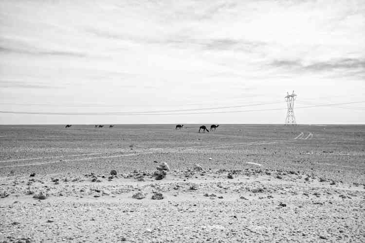 Dans le désert, près de Ouargla. 70 % du pétrole et du gaz de l’Algérie sont produits dans cette région du sud.