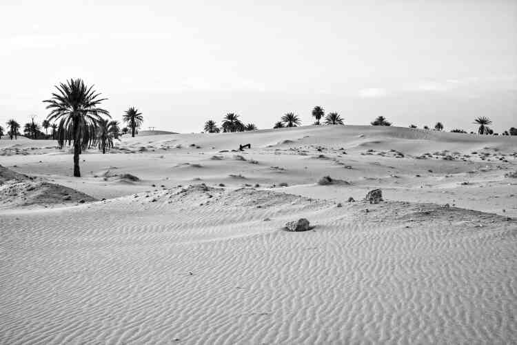 Le désert du Sahara, près de Ouargla.
