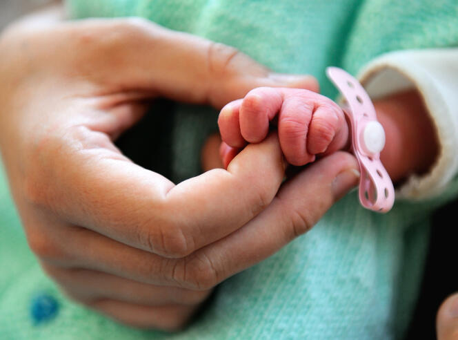 Une mère tient par la main son nouveau-né, le 17 septembre 2013, dans une maternité de Lens.