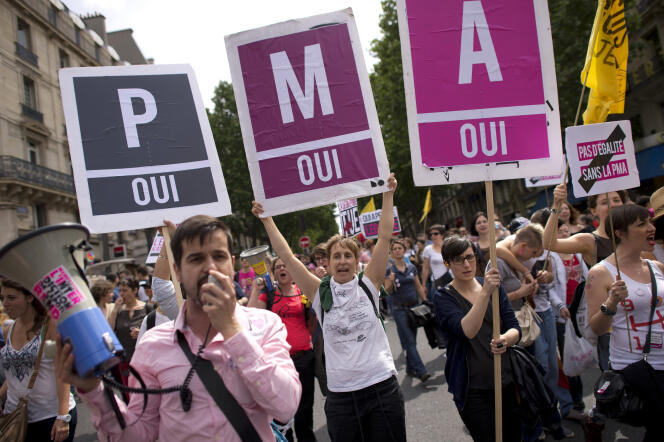 Des manifestants de la Gay Pride de 2013 affichent leur soutien à la procréation médicalement assistée (PMA).