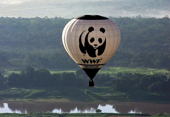Une montgolfière décorée du panda, image de marque du Fonds mondial pour la nature (WWF), au Brésil, en novembre 2006.