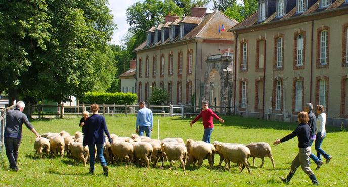Dans la Bergerie nationale de Rambouillet (Yvelines), lors d’un atelier organisé par HEC.