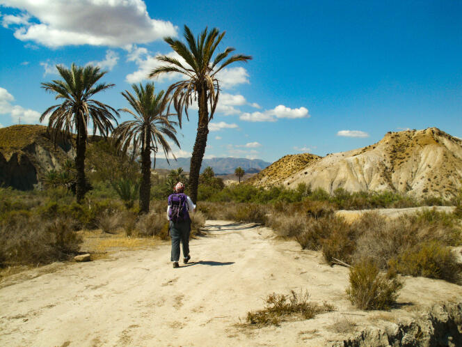 Le désert de Tabernas, en Andalousie (Espagne).