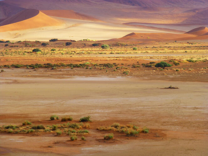 Le désert de Sossusvlei, en Namibie.