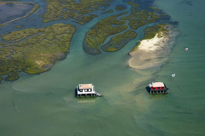 Les cabanes tchanquées de l’île aux Oiseaux.