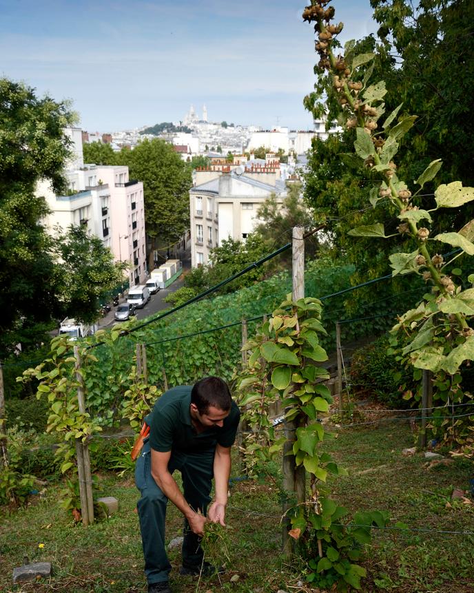 La Butte Bergeyre.
